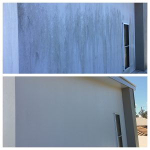 soft washing before and after