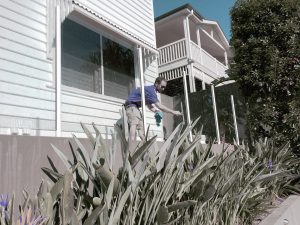 pool fence cleaning