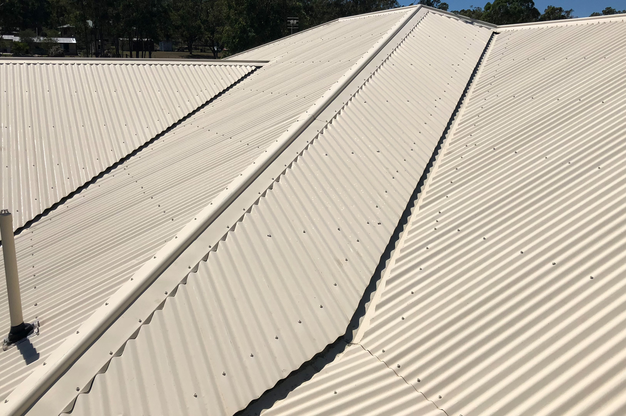 roof cleaning